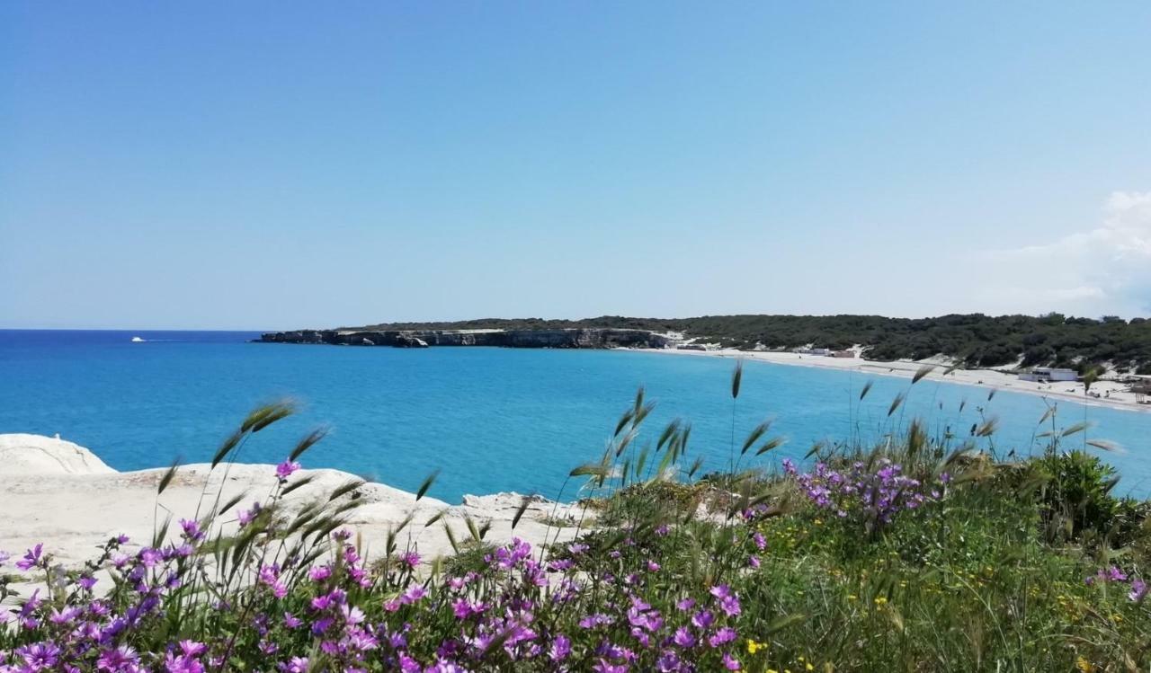 Villa Elia - Tenuta Le Scerze - Salento Homes Borgagne Εξωτερικό φωτογραφία